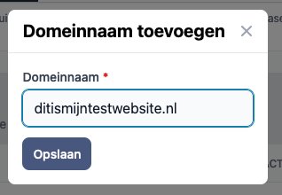 Domeinnaam invullen